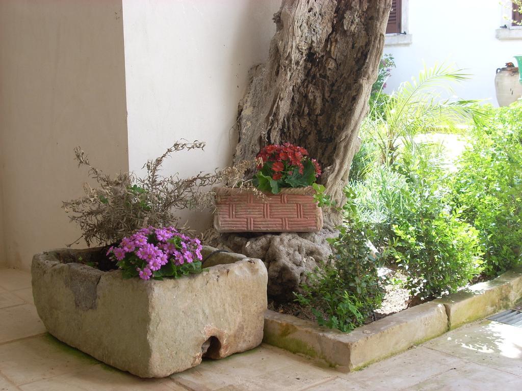 B&B Le Due Corti Martignano Exterior foto